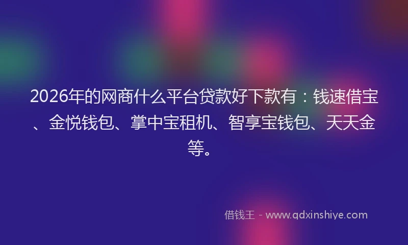 2026年的网商什么平台贷款好下款有：钱速借宝、金悦钱包、掌中宝租机、智享宝钱包、天天金等。