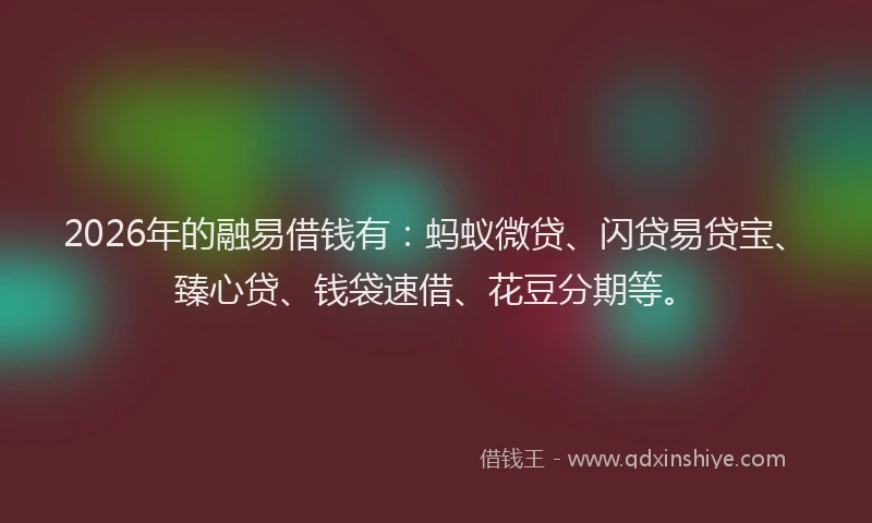2026年的融易借钱有：蚂蚁微贷、闪贷易贷宝、臻心贷、钱袋速借、花豆分期等。