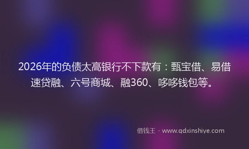 2026年的负债太高银行不下款有：甄宝借、易借速贷融、六号商城、融360、哆哆钱包等。