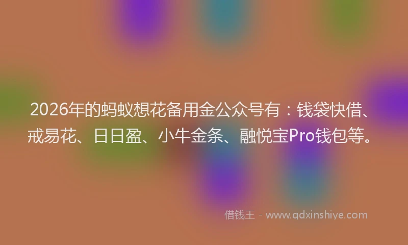 2026年的蚂蚁想花备用金公众号有：钱袋快借、戒易花、日日盈、小牛金条、融悦宝Pro钱包等。