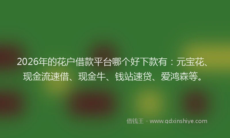 2026年的花户借款平台哪个好下款有：元宝花、现金流速借、现金牛、钱站速贷、爱鸿森等。