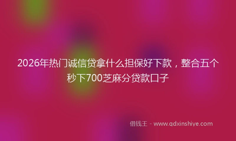 2026年热门诚信贷拿什么担保好下款，整合五个秒下700芝麻分贷款口子
