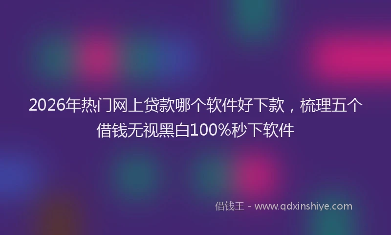 2026年热门网上贷款哪个软件好下款,梳理五个借钱无视黑白100%秒下软件