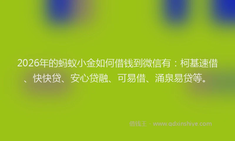 2026年的蚂蚁小金如何借钱到微信有：柯基速借、快快贷、安心贷融、可易借、涌泉易贷等。