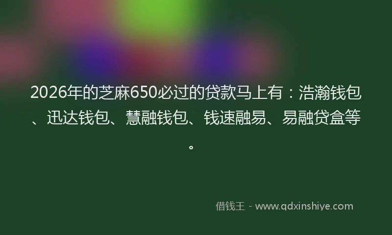 2026年的芝麻650必过的贷款马上有:浩瀚钱包、迅达钱包、慧融钱包、钱速融易、易融贷盒等。
