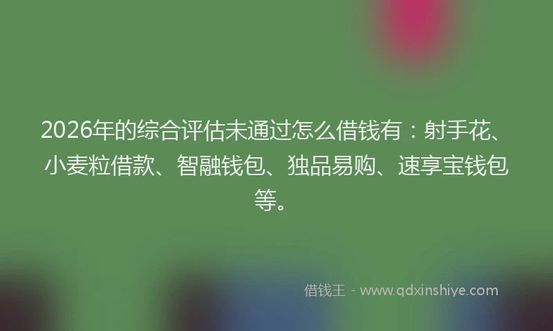 2026年的综合评估未通过怎么借钱有：射手花、小麦粒借款、智融钱包、独品易购、速享宝钱包等。