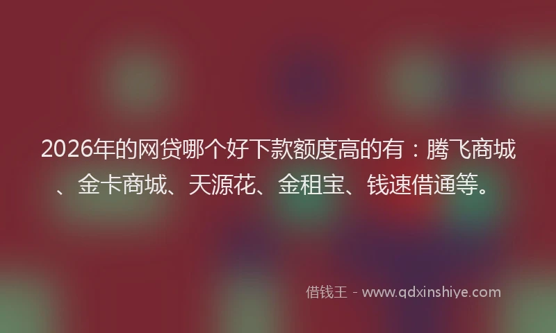 2026年的网贷哪个好下款额度高的有：腾飞商城、金卡商城、天源花、金租宝、钱速借通等。