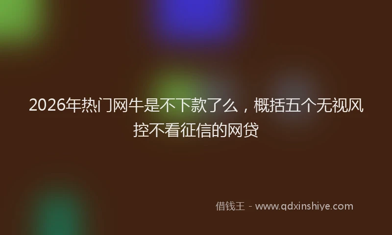 2026年热门网牛是不下款了么，概括五个无视风控不看征信的网贷