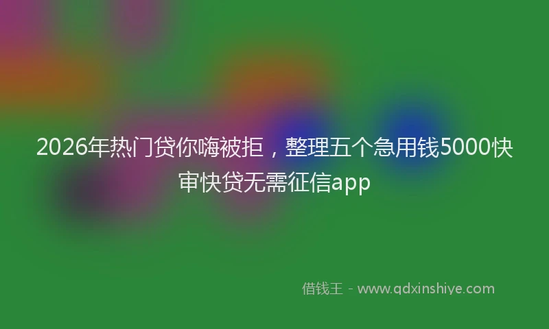 2026年热门贷你嗨被拒，整理五个急用钱5000快审快贷无需征信app