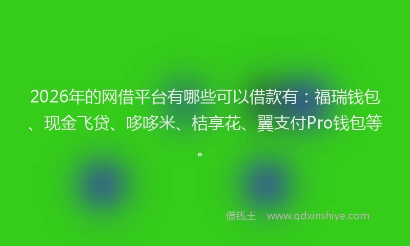 2026年的网借平台有哪些可以借款有：福瑞钱包、现金飞贷、哆哆米、桔享花、翼支付Pro钱包等。