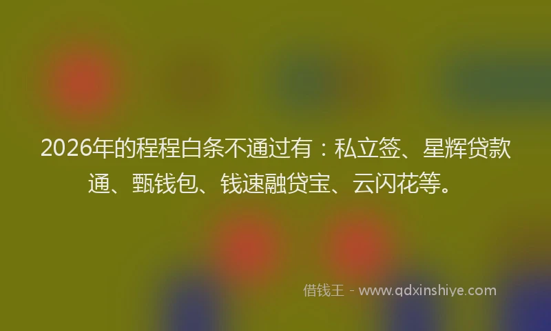 2026年的程程白条不通过有:私立签、星辉贷款通、甄钱包、钱速融贷宝、云闪花等。