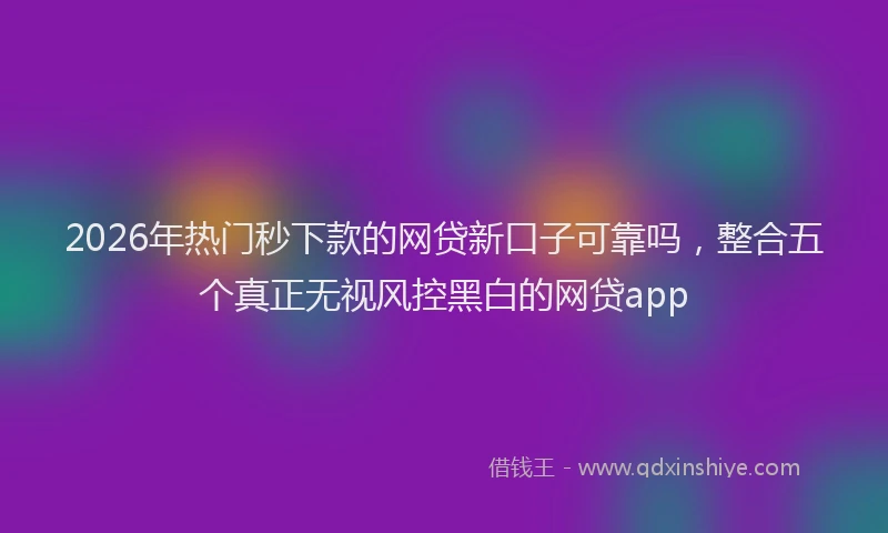 2026年热门秒下款的网贷新口子可靠吗，整合五个真正无视风控黑白的网贷app