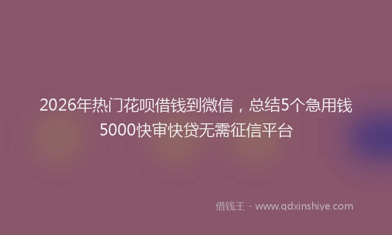 2026年热门花呗借钱到微信，总结5个急用钱5000快审快贷无需征信平台