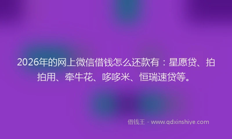 2026年的网上微信借钱怎么还款有：星愿贷、拍拍用、牵牛花、哆哆米、恒瑞速贷等。