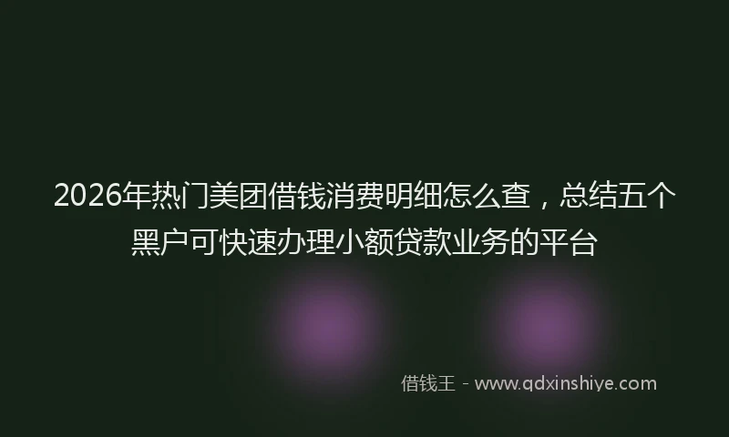 2026年热门美团借钱消费明细怎么查，总结五个黑户可快速办理小额贷款业务的平台