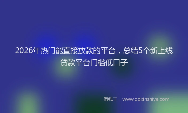 2026年热门能直接放款的平台，总结5个新上线贷款平台门槛低口子