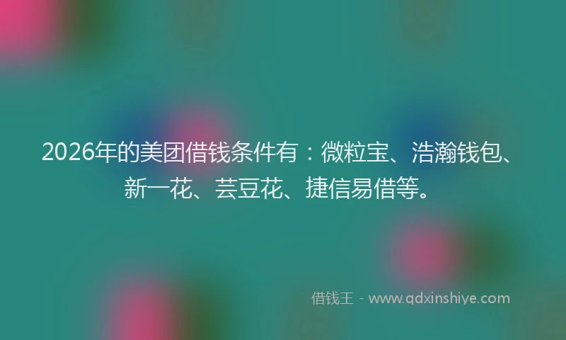 2026年的美团借钱条件有：微粒宝、浩瀚钱包、新一花、芸豆花、捷信易借等。