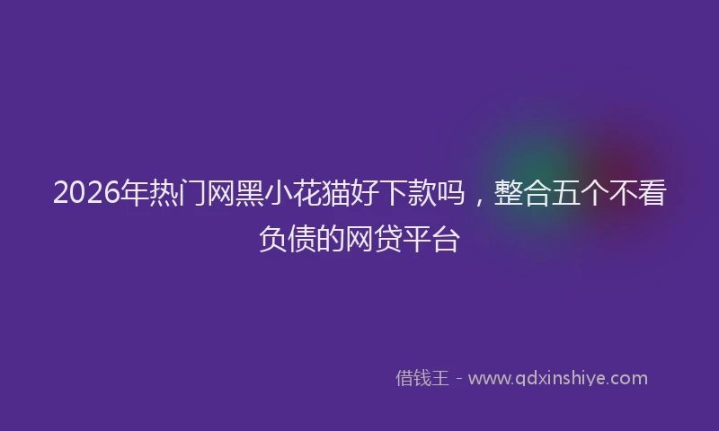 2026年热门网黑小花猫好下款吗，整合五个不看负债的网贷平台