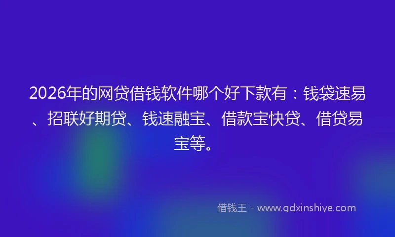 2026年的网贷借钱软件哪个好下款有：钱袋速易、招联好期贷、钱速融宝、借款宝快贷、借贷易宝等。