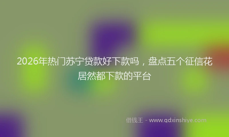 2026年热门苏宁贷款好下款吗，盘点五个征信花居然都下款的平台