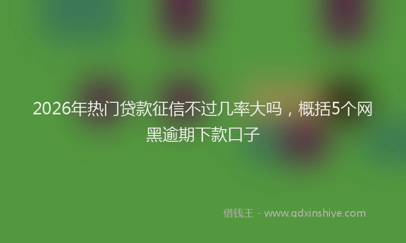 2026年热门贷款征信不过几率大吗，概括5个网黑逾期下款口子