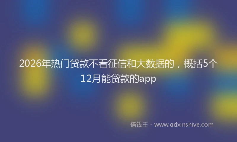 2026年热门贷款不看征信和大数据的，概括5个12月能贷款的app