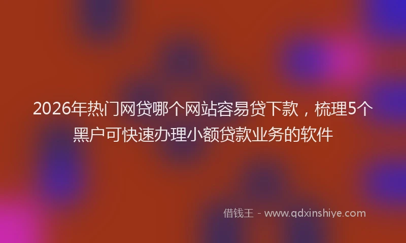2026年热门网贷哪个网站容易贷下款，梳理5个黑户可快速办理小额贷款业务的软件