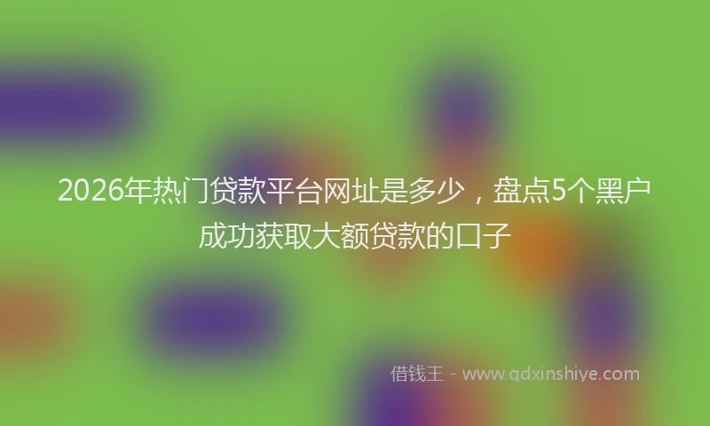 2026年热门贷款平台网址是多少,盘点5个黑户成功获取大额贷款的口子