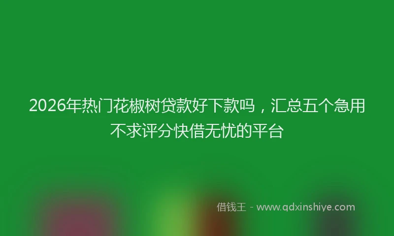 2026年热门花椒树贷款好下款吗，汇总五个急用不求评分快借无忧的平台
