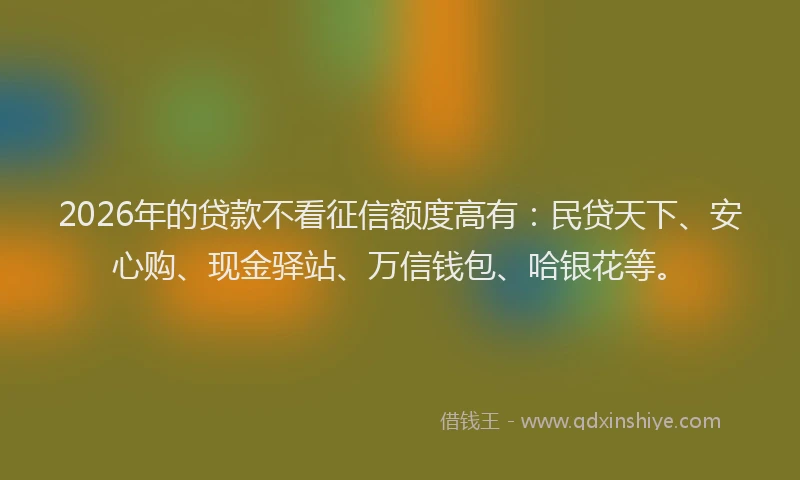 2026年的贷款不看征信额度高有：民贷天下、安心购、现金驿站、万信钱包、哈银花等。