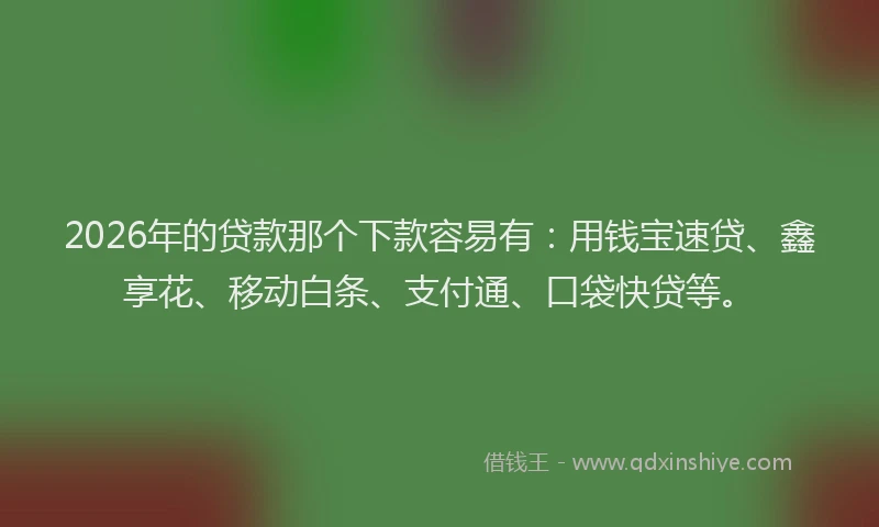 2026年的贷款那个下款容易有:用钱宝速贷、鑫享花、移动白条、支付通、口袋快贷等。
