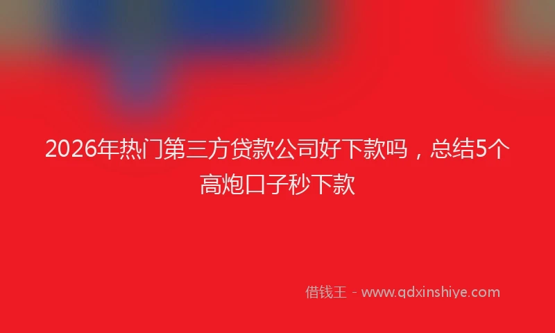 2026年热门第三方贷款公司好下款吗，总结5个高炮口子秒下款