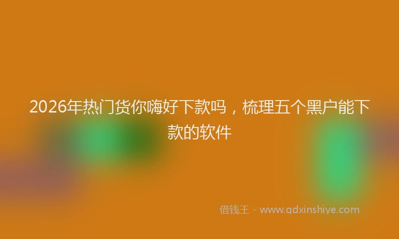 2026年热门货你嗨好下款吗,梳理五个黑户能下款的软件