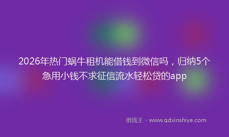 2026年热门蜗牛租机能借钱到微信吗，归纳5个急用小钱不求征信流水轻松贷的app