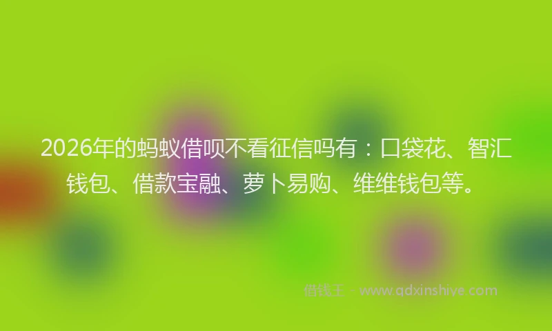 2026年的蚂蚁借呗不看征信吗有：口袋花、智汇钱包、借款宝融、萝卜易购、维维钱包等。