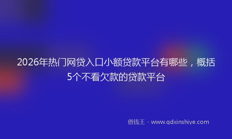 2026年热门网贷入口小额贷款平台有哪些，概括5个不看欠款的贷款平台
