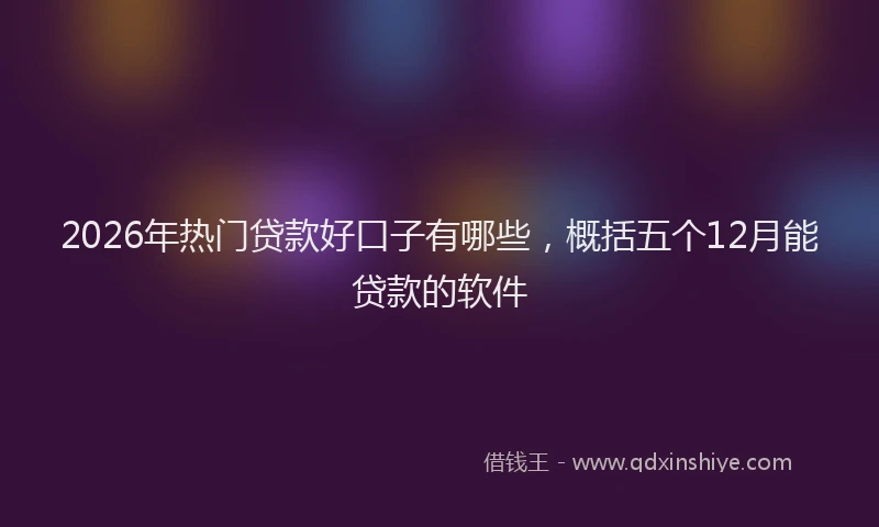 2026年热门贷款好口子有哪些，概括五个12月能贷款的软件