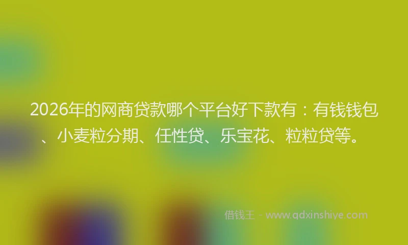 2026年的网商贷款哪个平台好下款有:有钱钱包、小麦粒分期、任性贷、乐宝花、粒粒贷等。