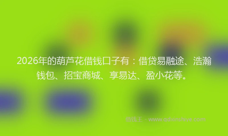 2026年的葫芦花借钱口子有：借贷易融途、浩瀚钱包、招宝商城、享易达、盈小花等。