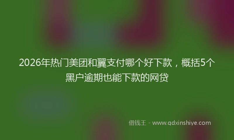 2026年热门美团和翼支付哪个好下款，概括5个黑户逾期也能下款的网贷