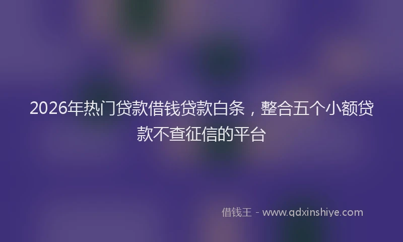 2026年热门贷款借钱贷款白条，整合五个小额贷款不查征信的平台