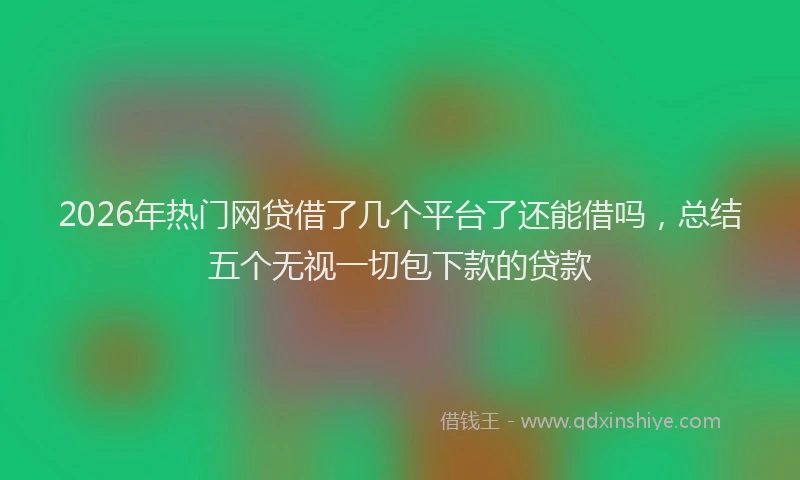 2026年热门网贷借了几个平台了还能借吗，总结五个无视一切包下款的贷款