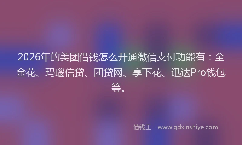 2026年的美团借钱怎么开通微信支付功能有：全金花、玛瑙信贷、团贷网、享下花、迅达Pro钱包等。