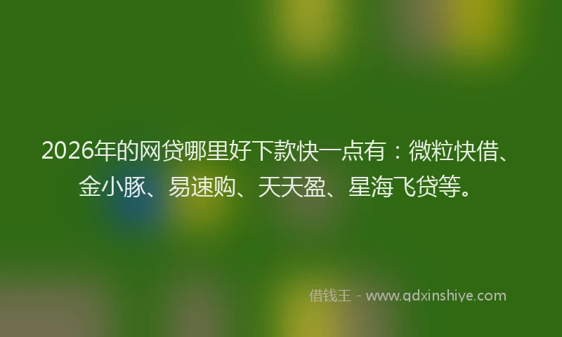2026年的网贷哪里好下款快一点有:微粒快借、金小豚、易速购、天天盈、星海飞贷等。