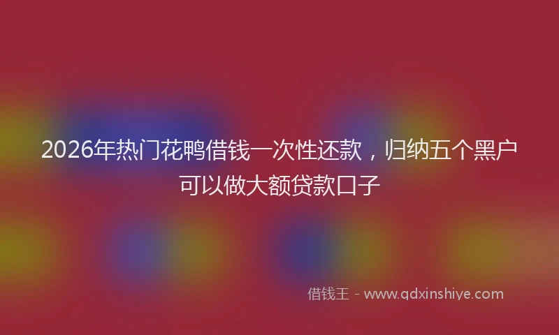 2026年热门花鸭借钱一次性还款,归纳五个黑户可以做大额贷款口子