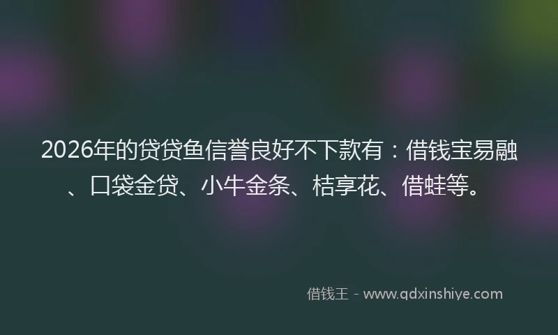 2026年的贷贷鱼信誉良好不下款有：借钱宝易融、口袋金贷、小牛金条、桔享花、借蛙等。