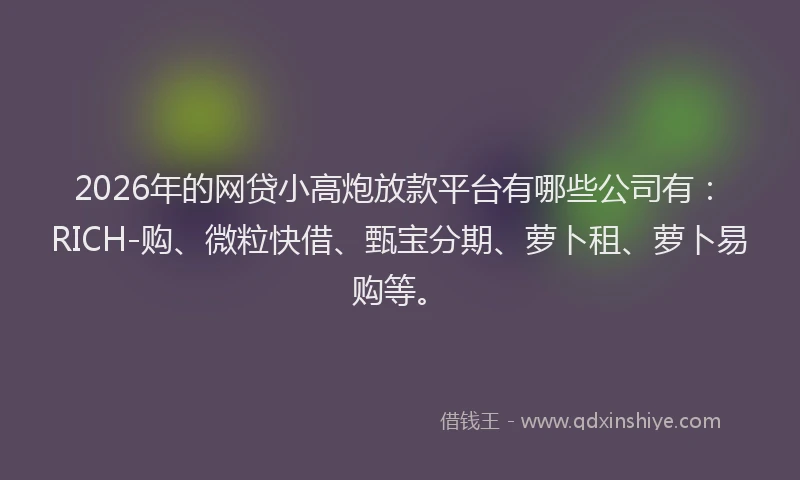 2026年的网贷小高炮放款平台有哪些公司有：RICH-购、微粒快借、甄宝分期、萝卜租、萝卜易购等。