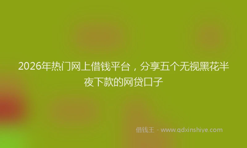 2026年热门网上借钱平台，分享五个无视黑花半夜下款的网贷口子
