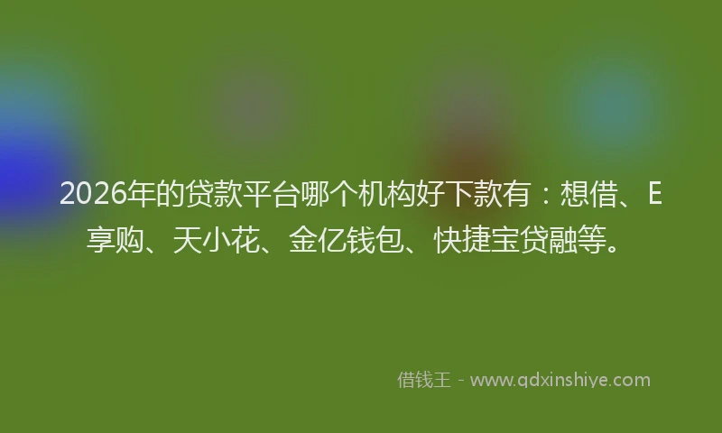 2026年的贷款平台哪个机构好下款有：想借、E享购、天小花、金亿钱包、快捷宝贷融等。