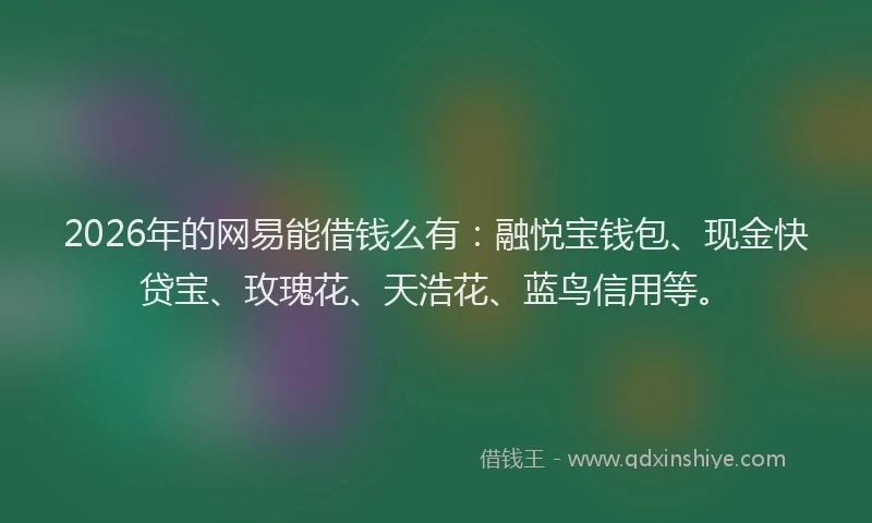 2026年的网易能借钱么有：融悦宝钱包、现金快贷宝、玫瑰花、天浩花、蓝鸟信用等。